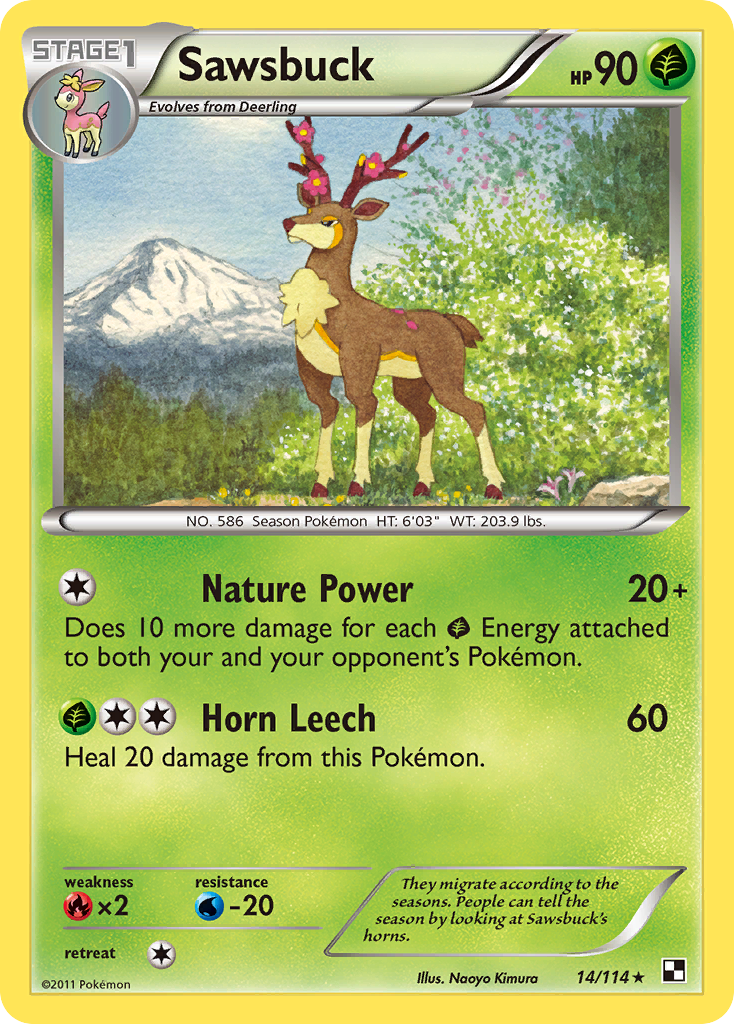Carta Sawsbuck