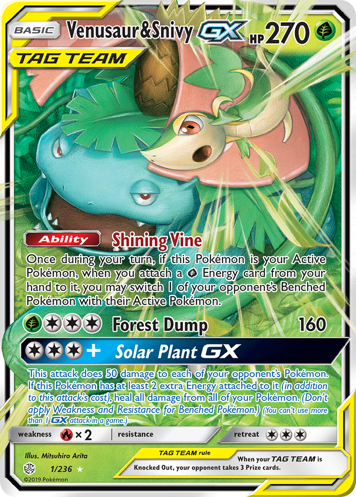 Carta Venusaur e Snivy GX