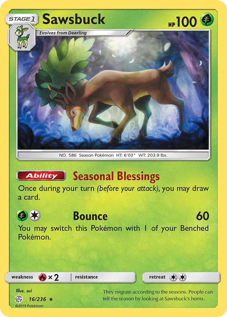 Carta Sawsbuck