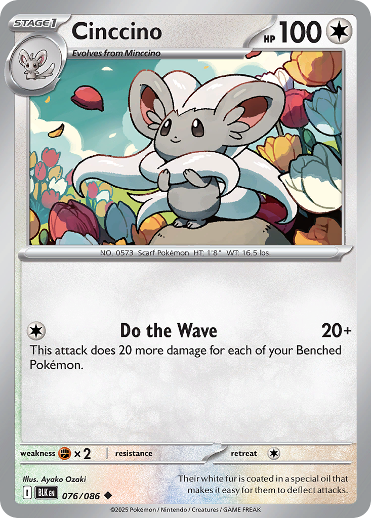 Carta Cinccino