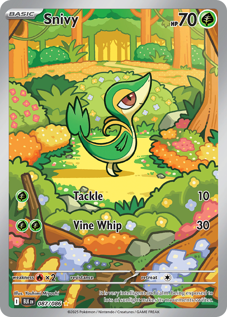 Carta Snivy