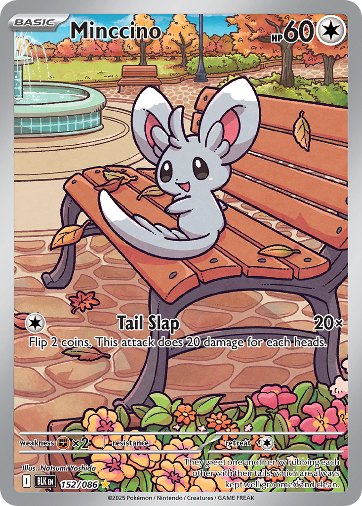 Carta Minccino