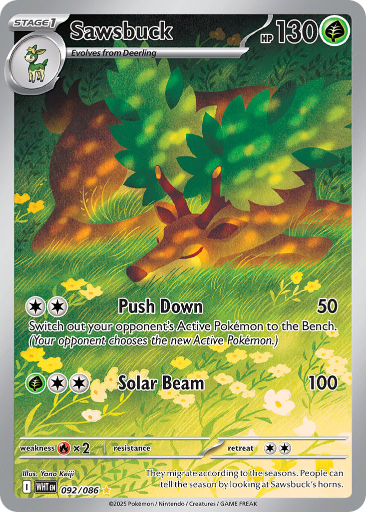Carta Sawsbuck