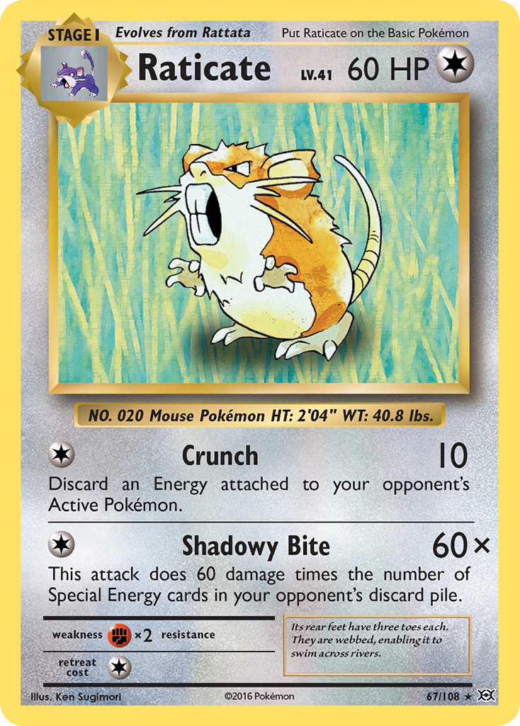 Carta Raticate