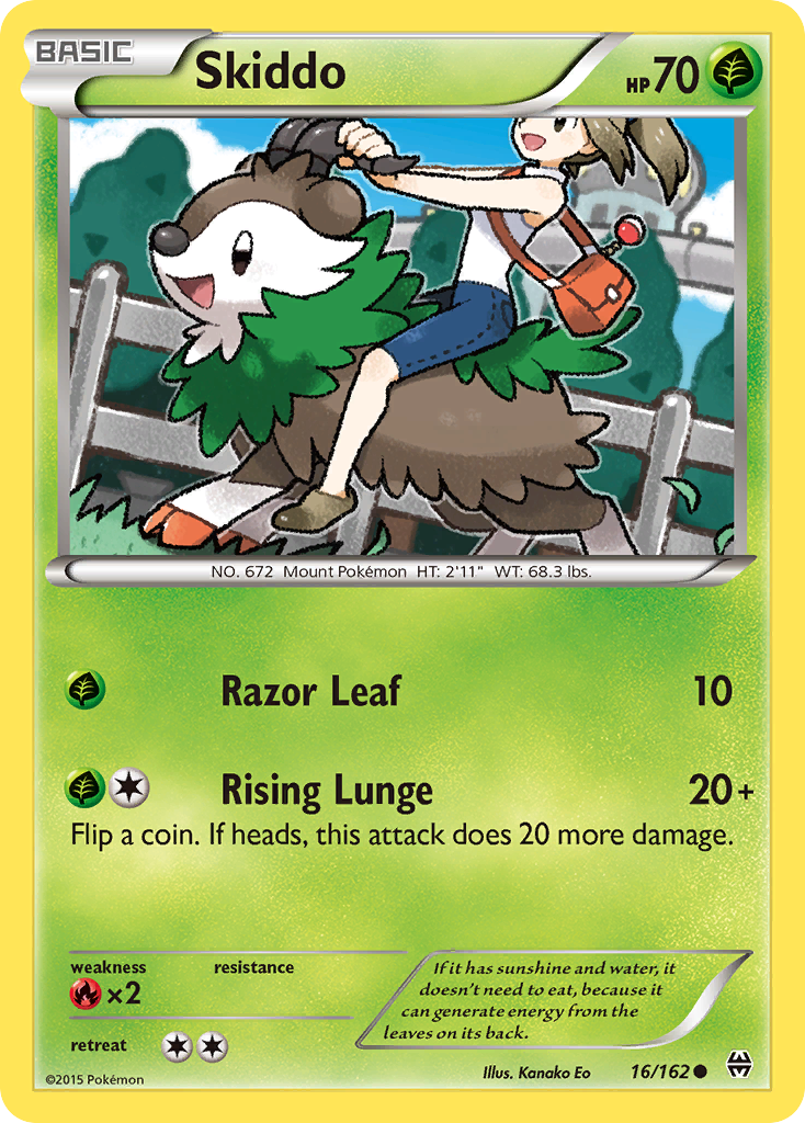 Carta Skiddo