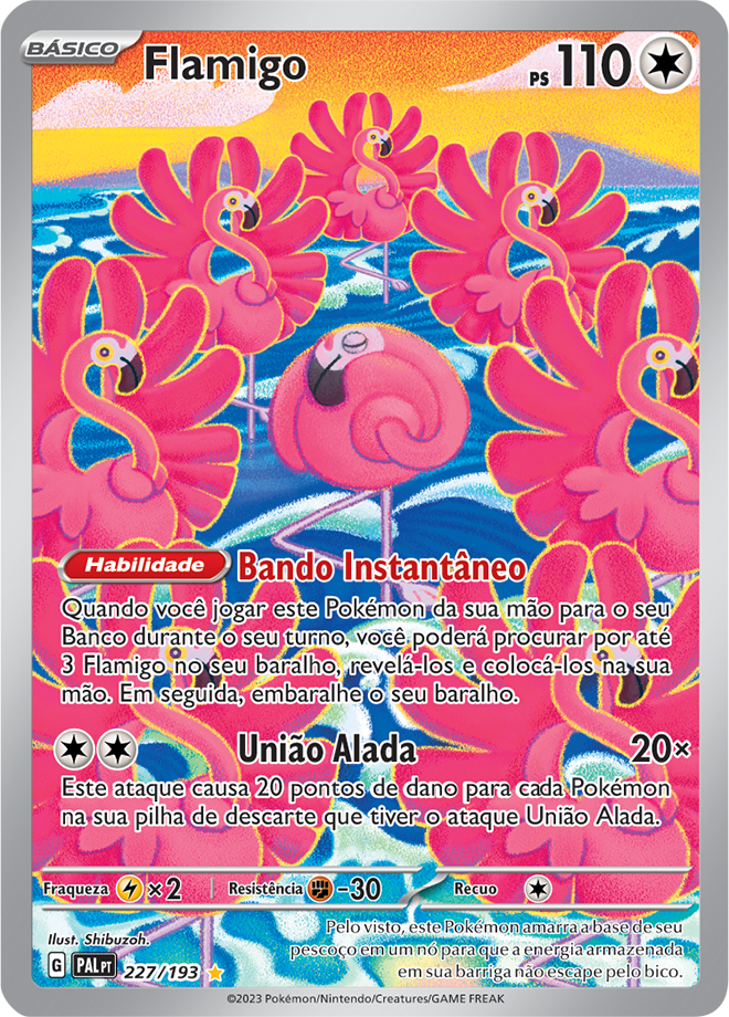Carta Flamigo