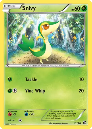 Carta Snivy