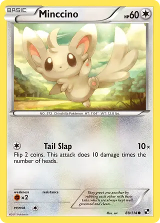 Carta Minccino