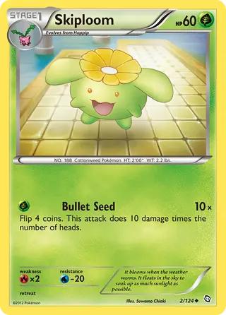 Carta Skiploom