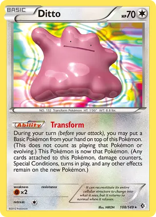Carta Ditto
