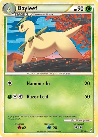 Carta Bayleef