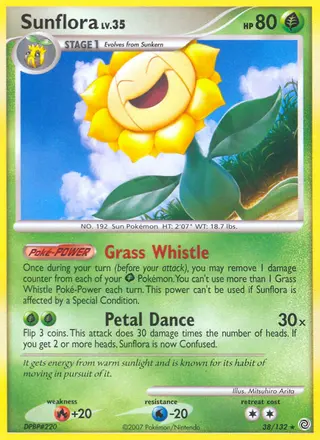 Carta Sunflora