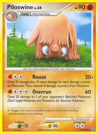 Carta Piloswine