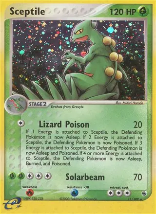 Carta Sceptile