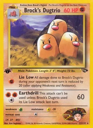 Carta Brock's Dugtrio