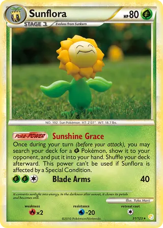 Carta Sunflora