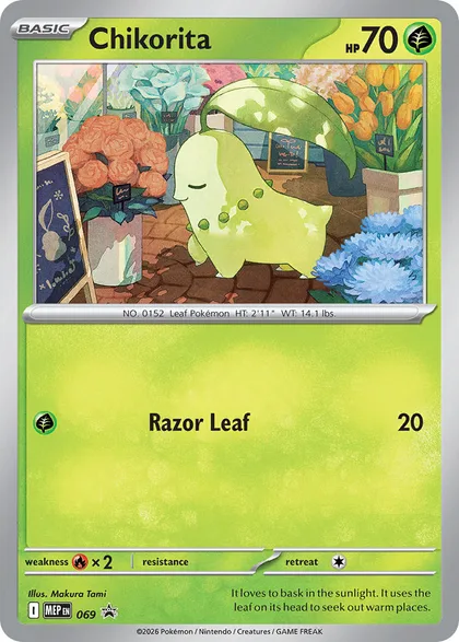 Carta Chikorita