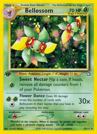 Carta Bellossom