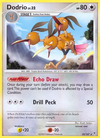 Carta Dodrio