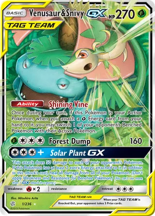 Carta Venusaur e Snivy GX