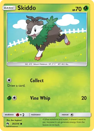 Carta Skiddo