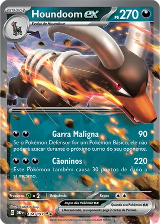 Carta Houndoom ex