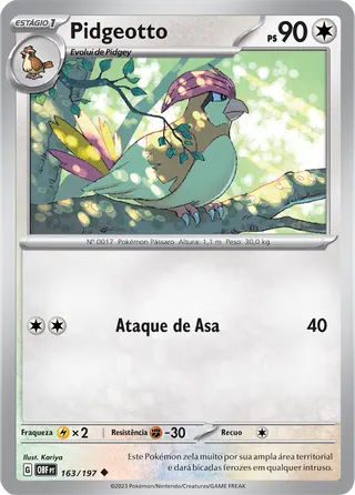 Carta Pidgeotto