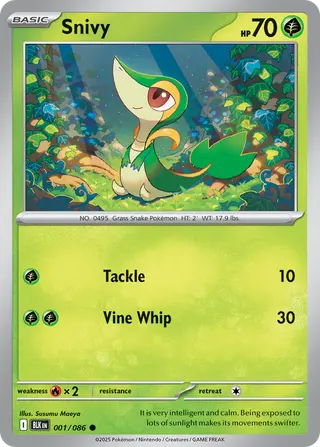 Carta Snivy