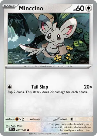 Carta Minccino