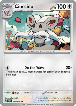 Carta Cinccino