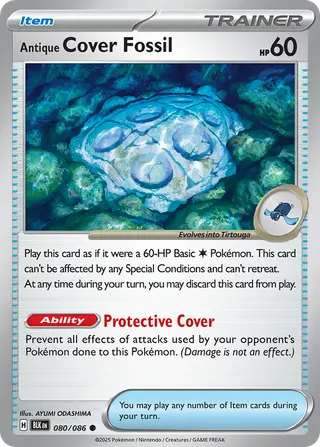 Carta Fóssil Casca Arcaico