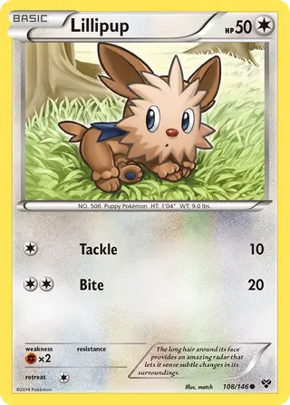 Carta Lillipup