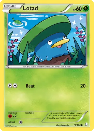 Carta Lotad