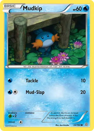 Carta Mudkip