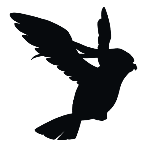 Silhueta de Pidgeot