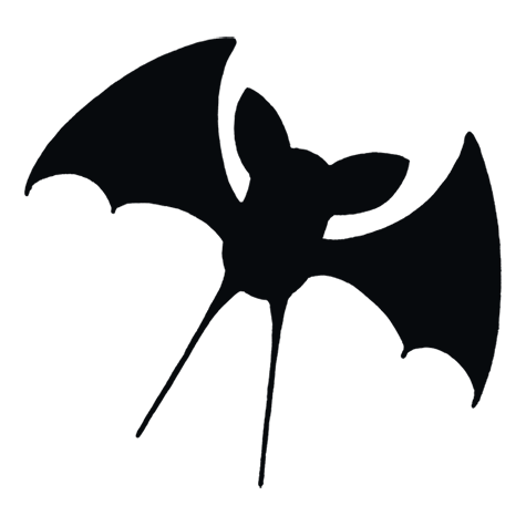 Silhueta de Zubat