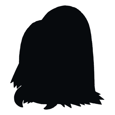 Silhueta de Piloswine